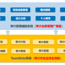 某保险公司审计管理项目