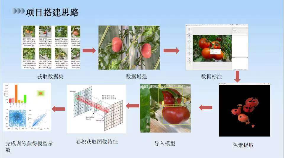 动态图片