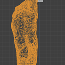 Foot 3D Model adjustment