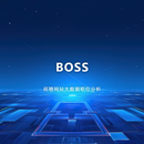 boss大数据岗位分析系统