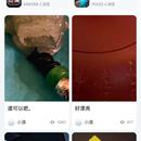 翡翠王朝app