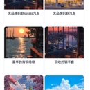 猛犸宣传