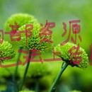 混沌测试平台