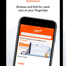 Carro Wholesale