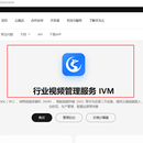 IVM视频分析服务域项目