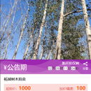 在线拍卖系统