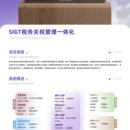 SIGT税务关税管理一体化