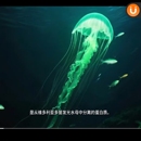 视频问答小程序