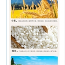 防伪溯源系统