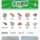 拍卖类小程序