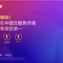 金蝶云苍穹低代码平台开发者