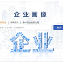 企业画像系统
