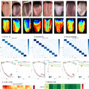 AI舌象体质识别系统