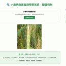 基于深度学习的小麦病虫害分类识别系统