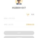 大合子