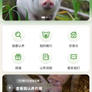 共享养猪智慧农业管理平台