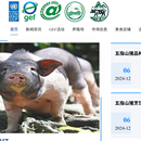 海南五指山猪