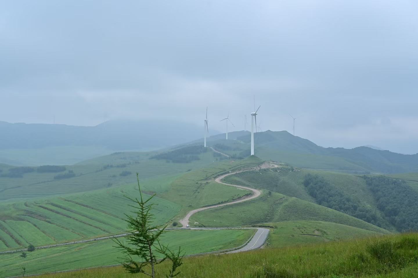 链接图片