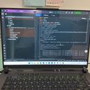 python网页公开数据采集与excel导出工具