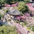 某电商平台erp系统