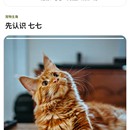 PetMatch 宠物爱好者社交平台