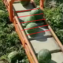 传送带线阵相机异物分选