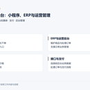 旅游业务平台:小程序、ERP与运营管理