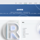 知识产权办公系统流程化开发项目