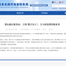 河南省航空港税务局自动审批系统