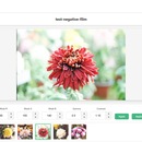 OpenLucky