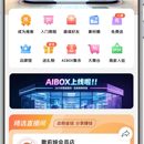 Saas小程序系统（多模板多通道支付）
