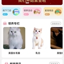 宠哩吖商城
