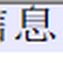 江苏省政务中台驻场开发（2023）