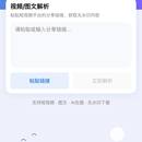 PP极速去水印