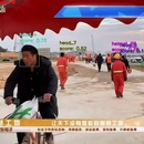 一个基于paddleDetection和paddle-human的能够识别工人安全帽是否佩戴以及工人
